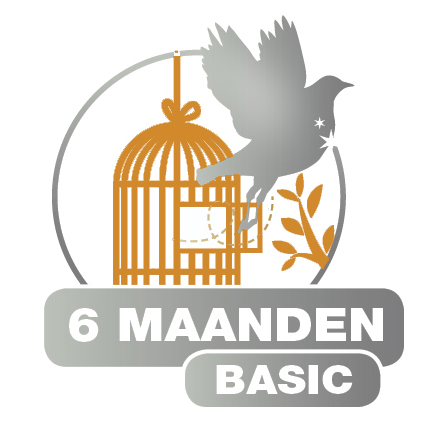 6 maanden basic